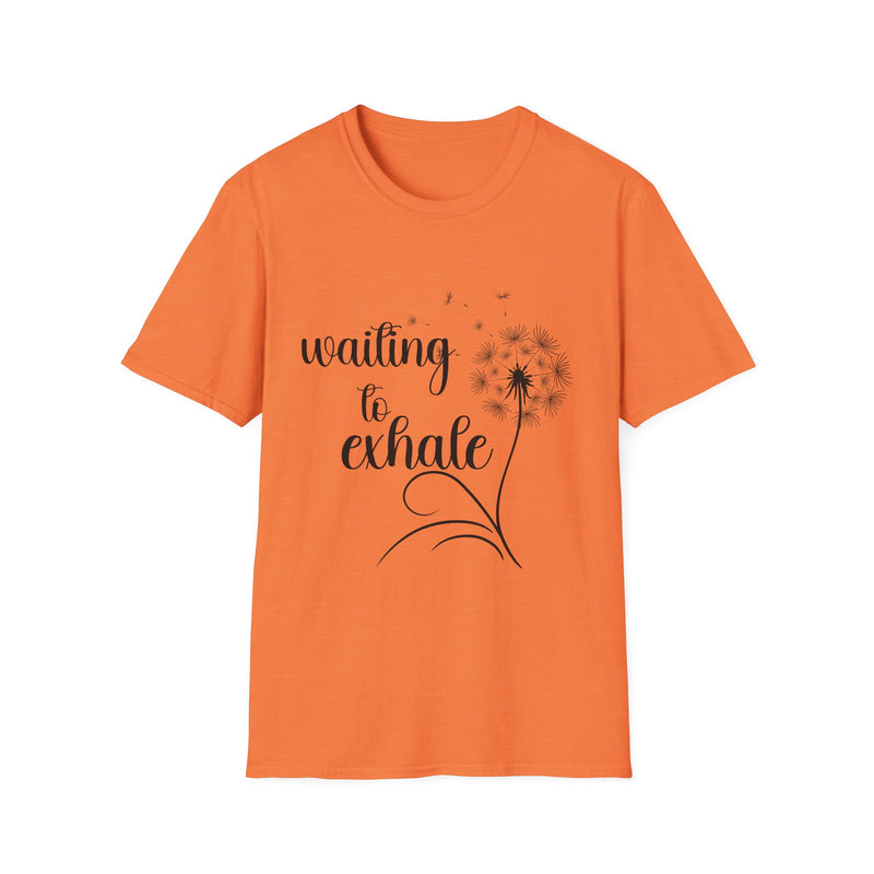 Waiting To Exhale | Women's T-Shirt | Faith-Based |Inspirational| Plus Size|  Motivational | Spiritual Tee's| Unisex