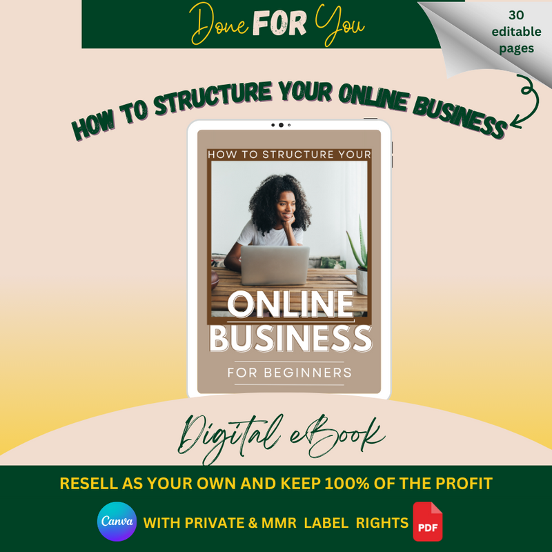 How To Structure Your Online Business For Beginners eBook