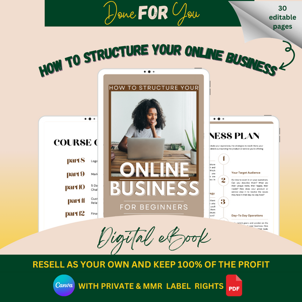How To Structure Your Online Business For Beginners eBook